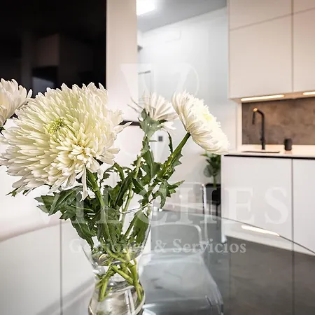 Apartment Elegancia, Tradicion Y Cultura Las Palmas de Gran Canaria